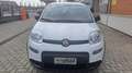 Fiat Panda Panda III 2021 1.0 firefly hybrid s Weiß - thumbnail 1