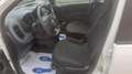 Fiat Panda Panda III 2021 1.0 firefly hybrid s Weiß - thumbnail 5