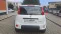 Fiat Panda Panda III 2021 1.0 firefly hybrid s Weiß - thumbnail 4