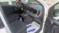 Fiat Panda Panda III 2021 1.0 firefly hybrid s Weiß - thumbnail 6