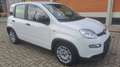 Fiat Panda Panda III 2021 1.0 firefly hybrid s Weiß - thumbnail 3