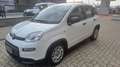 Fiat Panda Panda III 2021 1.0 firefly hybrid s Weiß - thumbnail 2