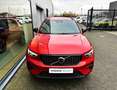 Volvo XC40 Plus, T4 plug-in 'GARANTIE 3 ANS' Rood - thumbnail 2