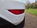Ford Fiesta Fiesta 1.0 EcoB. Titanium AUTOMAAT! Wit - thumbnail 9