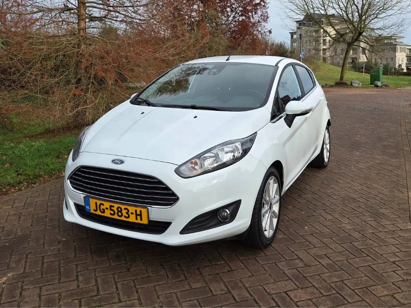 Ford Fiesta Fiesta 1.0 EcoB. Titanium AUTOMAAT! Wit - 2