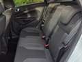 Ford Fiesta Fiesta 1.0 EcoB. Titanium AUTOMAAT! Wit - thumbnail 18