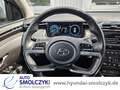 Hyundai TUCSON 1.6 T 7-DCT 4WD PREMIUM LEDER+PANOD+AHK Alb - thumbnail 11