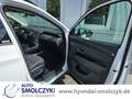 Hyundai TUCSON 1.6 T 7-DCT 4WD PREMIUM LEDER+PANOD+AHK Alb - thumbnail 9