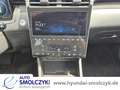 Hyundai TUCSON 1.6 T 7-DCT 4WD PREMIUM LEDER+PANOD+AHK Alb - thumbnail 12