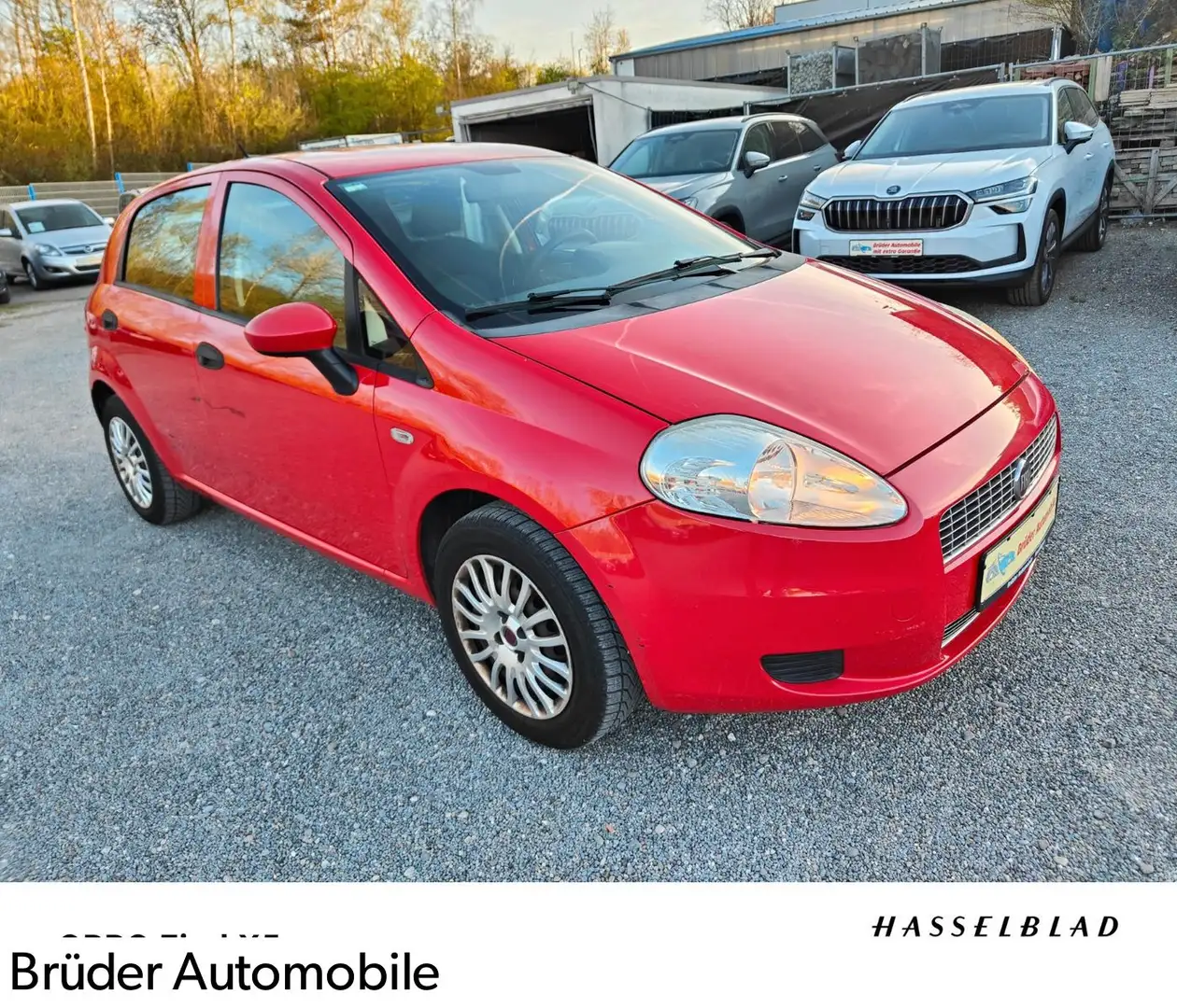 Fiat Grande Punto 1.4 8V Active "1Hand "NEU TÜV Rouge - 1