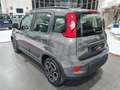 Fiat Panda New MY21 1.0 70CV Hybrid City Life Grigio - thumnbnail 6