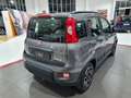 Fiat Panda New MY21 1.0 70CV Hybrid City Life Grigio - thumnbnail 4