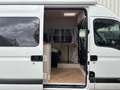 Opel Movano 2,5 CDTI H2L3 Buscamper Wit - thumbnail 5