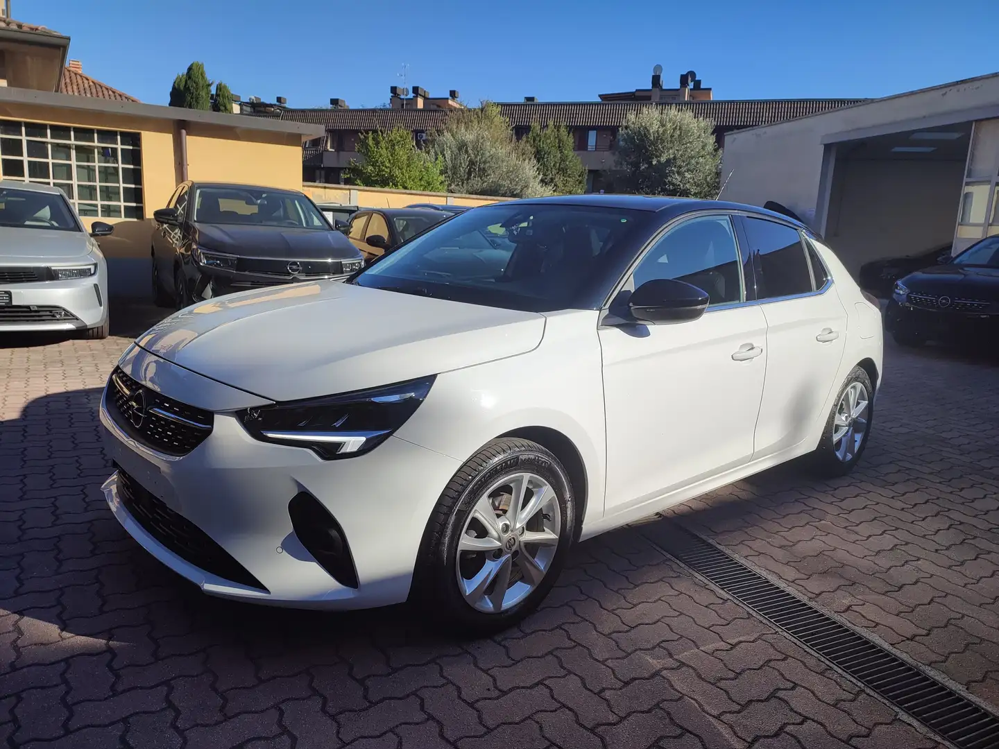 Opel Corsa Corsa 1.2 Elegance 100 CV MT 6 FormulaGuidaSicuro! Bianco - 1