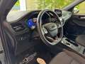 Ford Kuga 2.0 EcoBlue 120 CV aut. 2WD ST-Line - VARI COLOR Blu/Azzurro - thumbnail 10