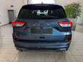 Ford Kuga 2.0 EcoBlue 120 CV aut. 2WD ST-Line - VARI COLOR Blu/Azzurro - thumbnail 6