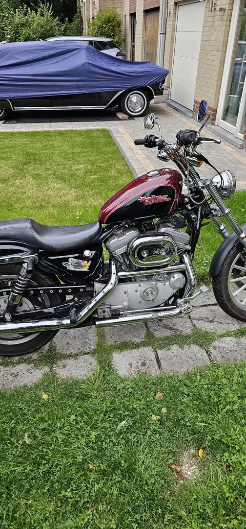 Harley-Davidson Sportster 883 Rouge - 1