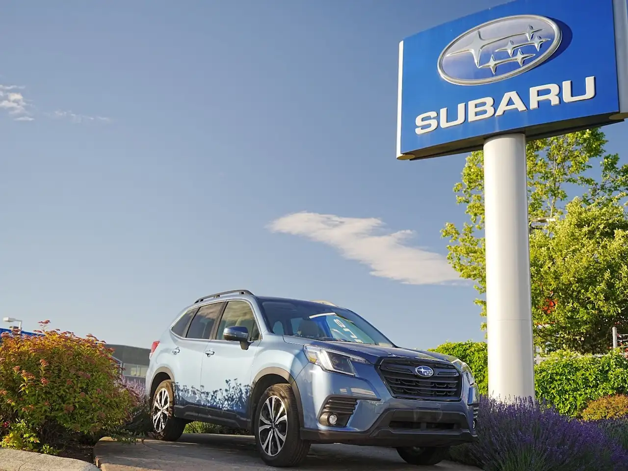Subaru Forester снимка Subaru Forester