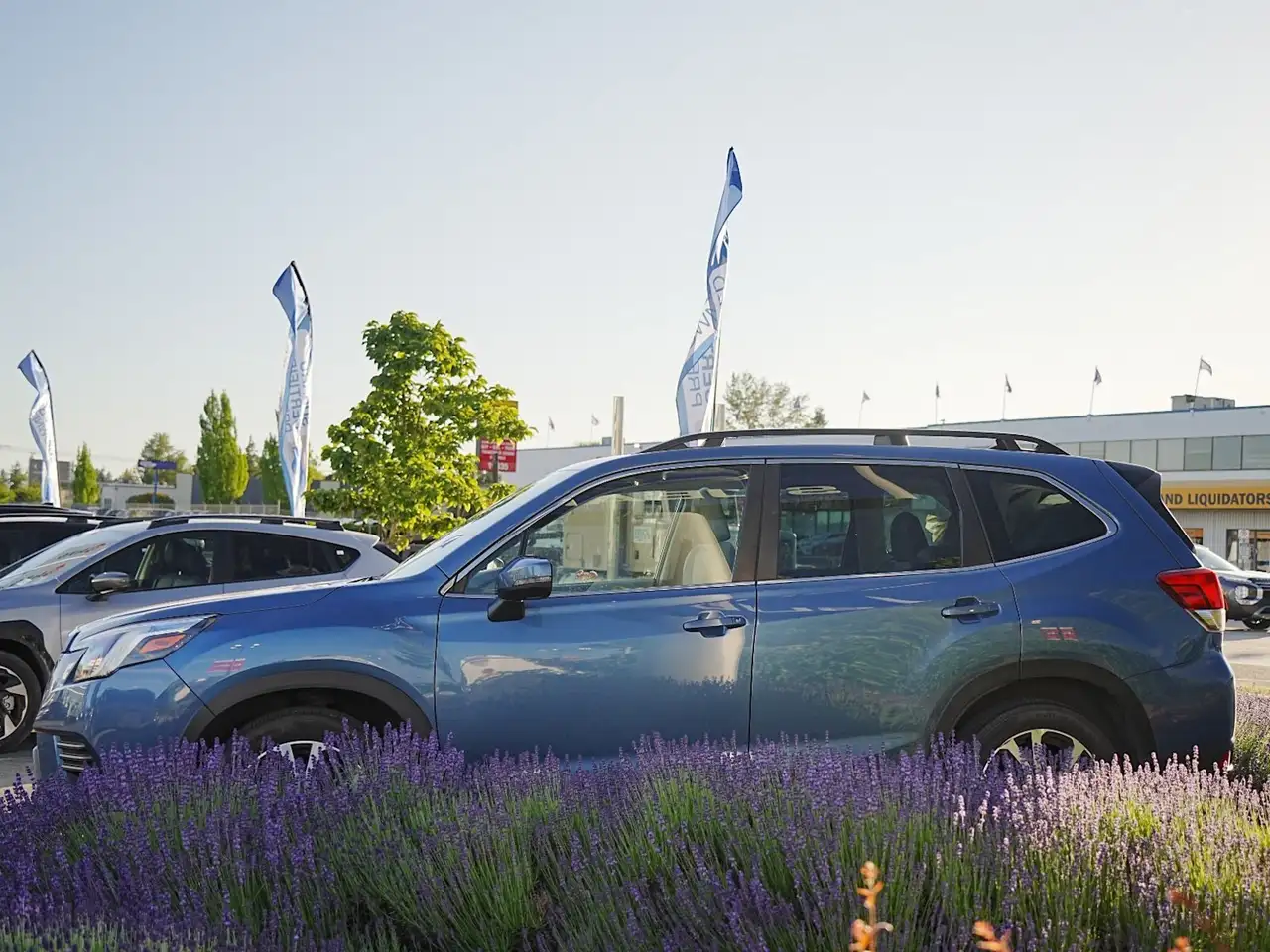 Subaru Forester снимка Subaru Forester