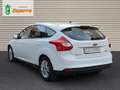 Ford Focus 1.0 EcoB. A-S-S 125cv EcoBoost Edition Blanco - thumbnail 3