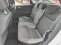 Ford Focus 1.0 EcoB. A-S-S 125cv EcoBoost Edition Blanco - thumbnail 13