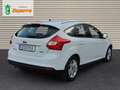 Ford Focus 1.0 EcoB. A-S-S 125cv EcoBoost Edition Blanco - thumbnail 5