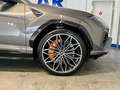Lamborghini Urus 4.0 V8 PHEV SE I Facelift I VOLL Серый - thumbnail 14