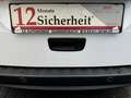 Mercedes-Benz Citan 109 CDI lang+1.HAND+KLIMA+PDC+SCHIEBETÜR+EURO 6 Weiß - thumbnail 15