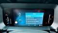 Ford Tourneo Courier 1.0 Ecoboost Active Gris - thumbnail 37