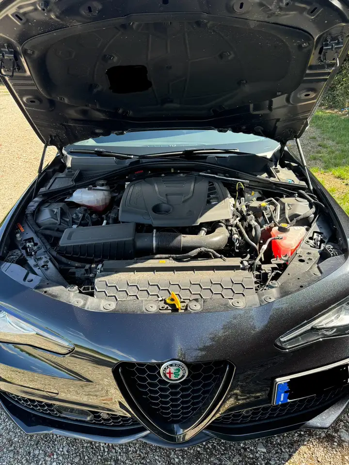 Alfa Romeo Giulia 2023 — фото 9