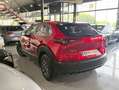 Mazda CX-30 2.5L e-SKYACT G MHEV 103kW Prime-Line MT Rojo - thumbnail 5
