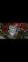 Honda CB 750 four K1 Rojo - thumbnail 3