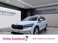 Skoda Enyaq iV 60 LOFT NAVI KAMERA PDC SITZHZG LM20 Weiß - thumbnail 1