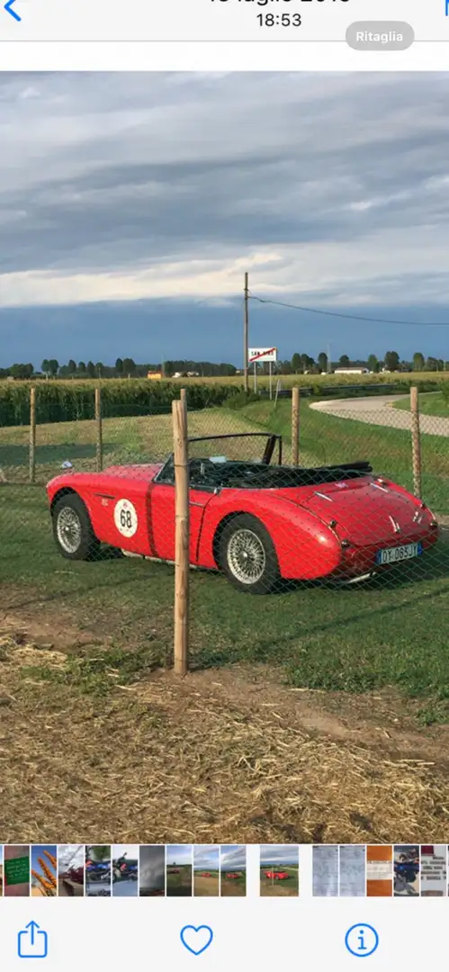 Austin-Healey 3000 altro - 1