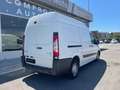 Peugeot Expert 2.0 HDi 125CV FAP *TETTO ALTO*IVA ESCLUSA* Bianco - thumbnail 5