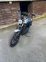 Harley-Davidson Iron 1200 Xl1200ms Blanco - thumbnail 7