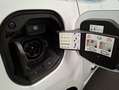 Renault Twingo Berlina 82cv Automático de 5 Puertas Blanco - thumbnail 8