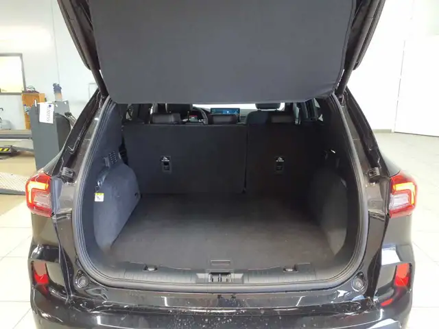Ford Kuga view 9