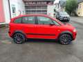 Audi A2 1.4 TDI colour.storm (55kW) Rosso - thumbnail 5