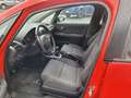 Audi A2 1.4 TDI colour.storm (55kW) Rosso - thumbnail 11