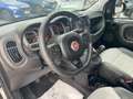 Fiat Panda 1.0 70 Hybrid CITY CROSS PACK Clim Auto Ecran 1Â°Main Weiß - thumbnail 13
