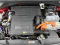 Kia Niro 1.6 GDi Hybrid DynamicLine | 1e eigenaar | Navigat Rot - thumbnail 37