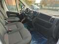 Citroen Jumper Jumper Furgone 33 L2H2 BlueHDi 120CV S&S Bianco - thumbnail 15