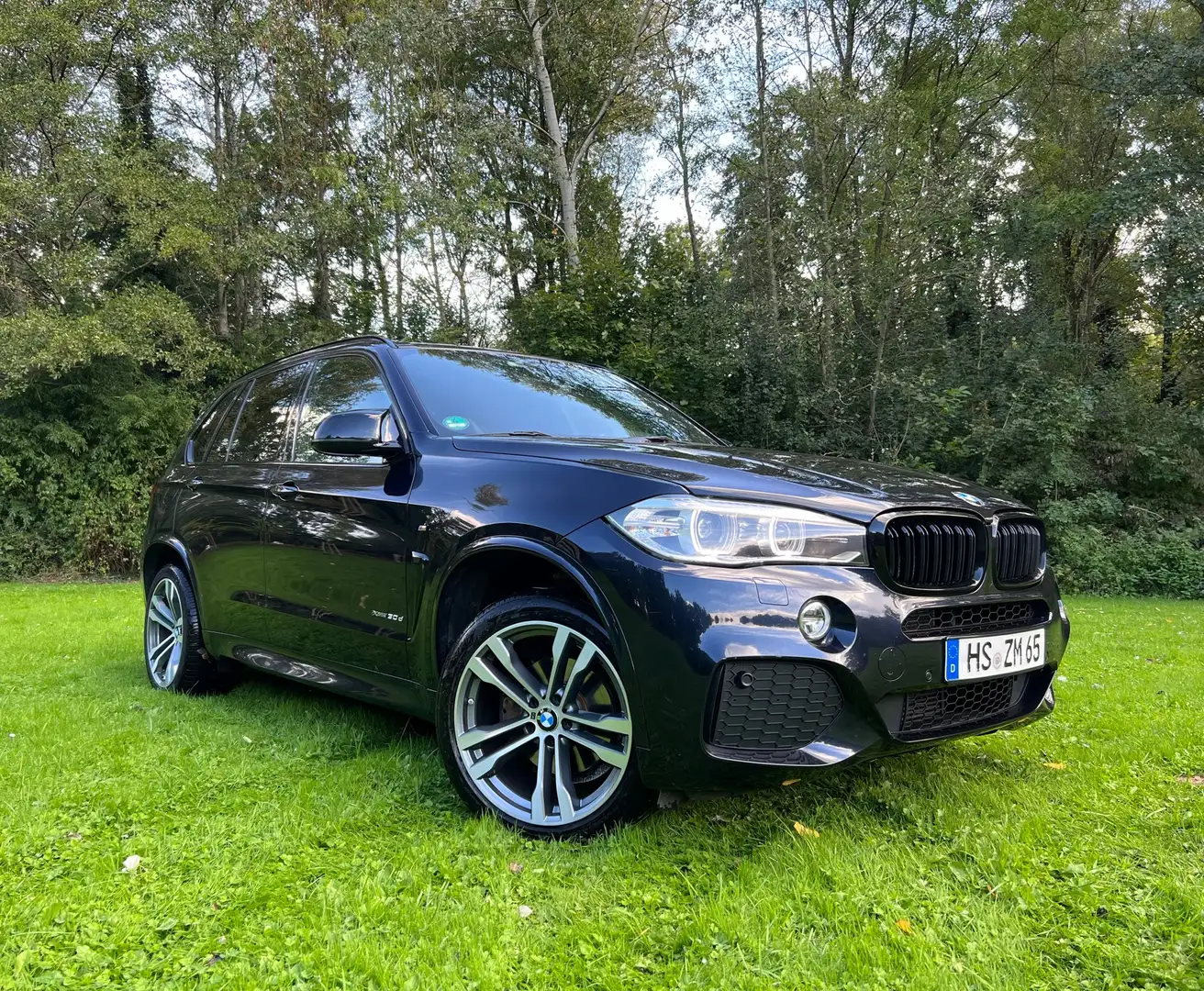 BMW X5 xDrive30d Sport-Aut. Schwarz - 1