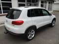 Volkswagen Tiguan 2.0 TDI"LOUNGE"-Sport&Style-NAVI-PANO-AHK Blanc - thumbnail 4