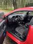Alfa Romeo MiTo 1.4 T Rood - thumbnail 7
