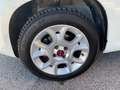 Fiat Panda Panda III 2012 0.9 t.air nat power Lounge 80cv Blanc - thumbnail 6