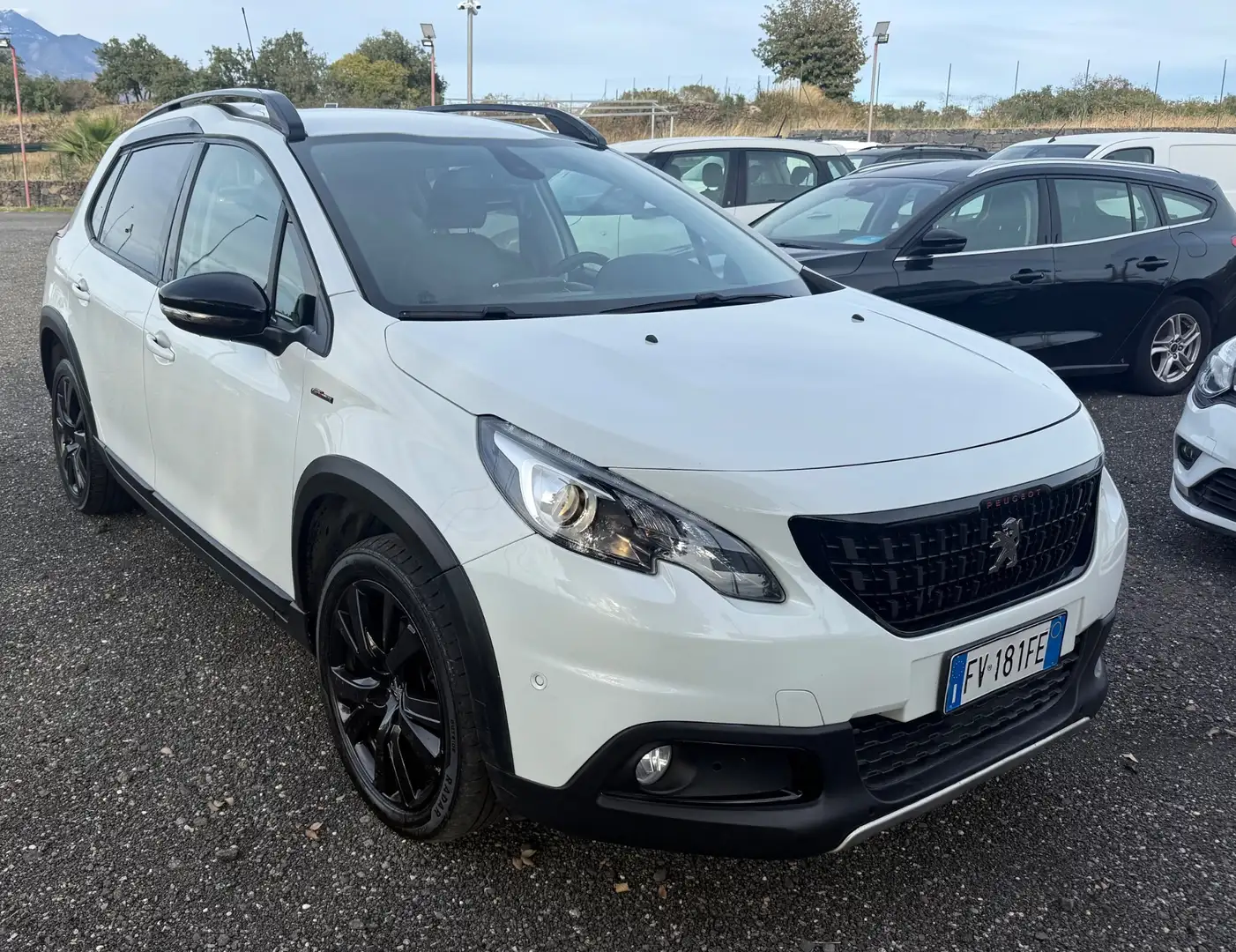 Peugeot 2008 BlueHDi 100 S&S Style Bianco - 1