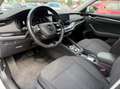 Skoda Octavia Combi 1.0 TSI Style DSG7 ** Trekhaak | Camera |... Blanco - thumbnail 10