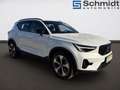 Volvo XC40 Plus, B3 Mild Hybrid, Benzin, Dark Weiß - thumbnail 5